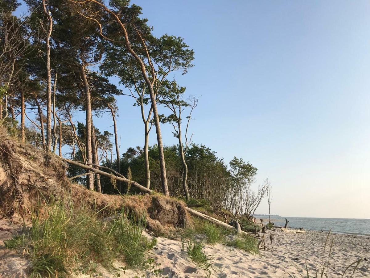 "Leuchtturmhaus" By Ferienhaus Strandgut Born Eksteriør billede